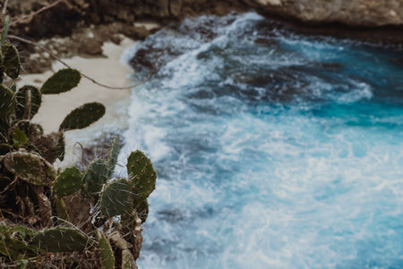 Foamy waves clash against a secluded cove with cacti overlooking the clear turquoise watersの写真素材
