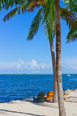 tropical white sand beach with palm trees and beach chairsの写真素材