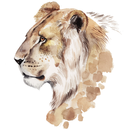 Watercolor lion portrait. Hand drawn animal illustrationのイラスト素材