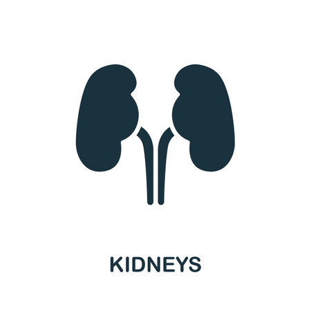 Kidneys icon. Simple element from internal organs collection. Creative Kidneys icon for web design, templates, infographics and moreのイラスト素材