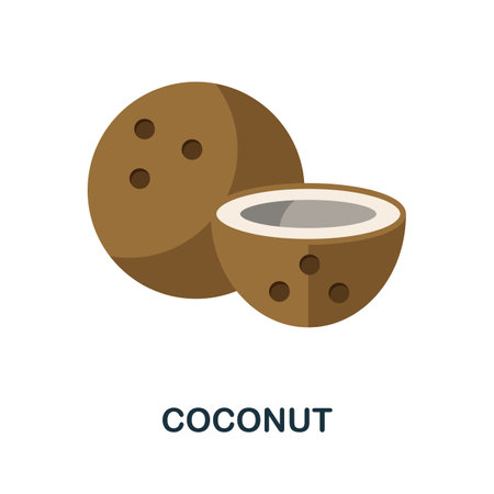 Coconut icon. Simple illustration from fruits collection. Monochrome Coconut icon for web design, templates and infographics.のイラスト素材