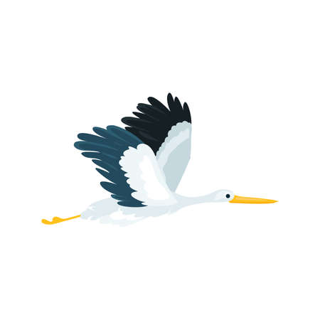Stork flat icon. Colored vector element from birds collection. Creative Stork icon for web design, templates and infographics.のイラスト素材