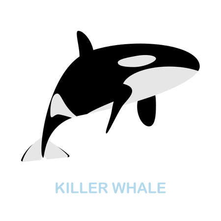 Killer Whale flat icon. Colored element sign from wild animals collection. Flat Killer Whale icon sign for web design, infographics and more.のイラスト素材