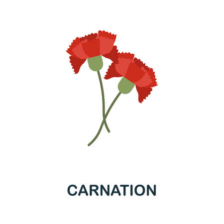 Carnation flat icon. Colored element sign from flowers collection. Flat Carnation icon sign for web design, infographics and more.のイラスト素材