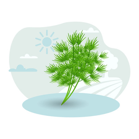 Dill illustration. Green, branch, leaf, plant. Editable vector graphic design.のイラスト素材