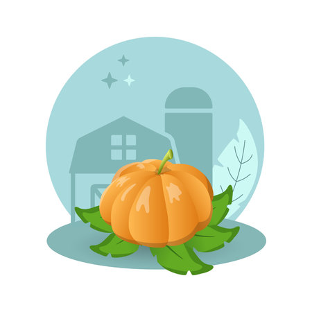 Pumpkin illustration. Vegetable, leaf, segments, big. Editable vector graphic design.のイラスト素材