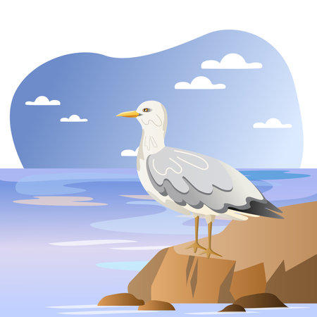 Seagull illustration. Bird, cliff, water, beak. Editable vector graphic design.のイラスト素材