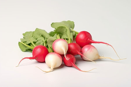 Radishes photo realistic illustration - Generative AI.の素材