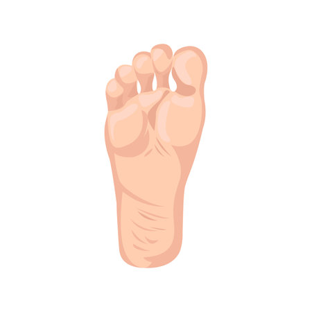 Foot flat icon. Colored vector element from body parts collection. Creative Foot icon for web design, templates and infographics.のイラスト素材