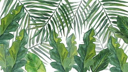 Watercolor background with palm leaves.の写真素材