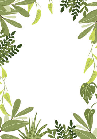 Frame of beautiful green leaves. For invitations, cards and other projects.の写真素材