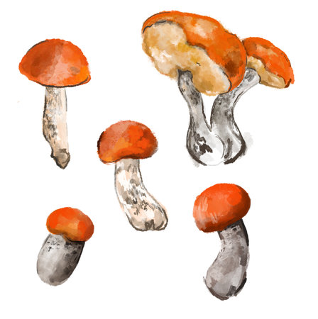 Hand drawn set colored aspen mushrooms.の写真素材