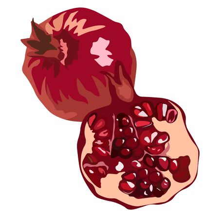 Vector stock illustration of a pomegranate.Juicy garnet close-up, cut in half. Ripe seed with grains. Postcard print. Isolated on a white background. Summer fruits to increase hemoglobinのイラスト素材