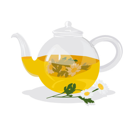 Chamomile tea vector stock illustration. Hot herbal drink in a teapot for colds. A soothing medical remedy. Isolated on a white background.のイラスト素材