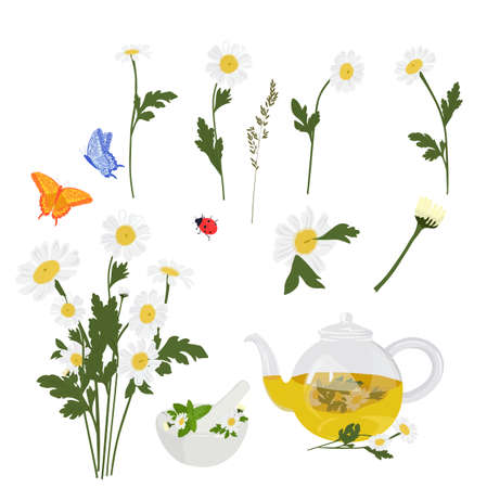 Daisies set for stickers. A bouquet of flowers, butterflies, herbal tea. Daisies close-up. Vector stock illustration. Isolated on a white background.のイラスト素材