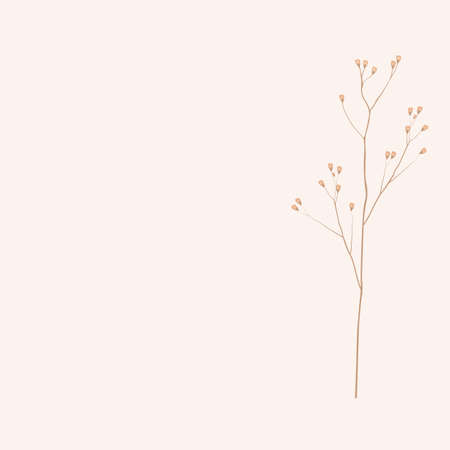A delicate branch of a flower vector stock illustration. A cream palette in a minimalistic style. Template for a wedding card.のイラスト素材