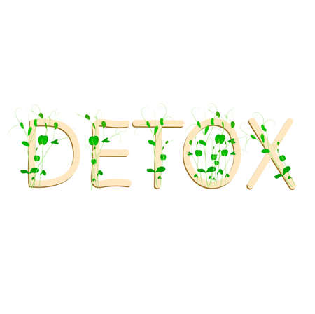 Logo with the inscription "Detox" vector stock illustration. Hand-sketched typography. Micro-green. Detoxification poster, badge, banner, grid.のイラスト素材