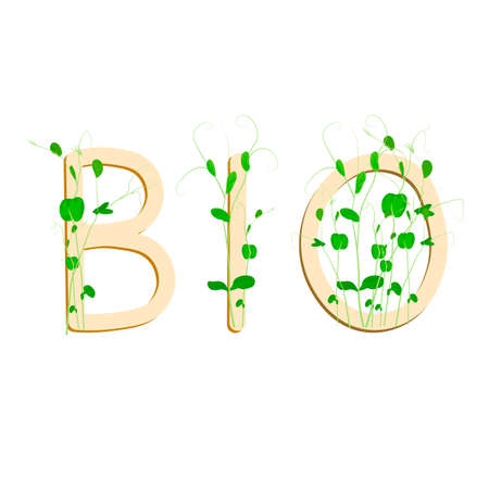 BIO logo vector stock illustration. A bio-text symbol with green leaves. Round icon of the natural product concept. Isolated on a white background.のイラスト素材