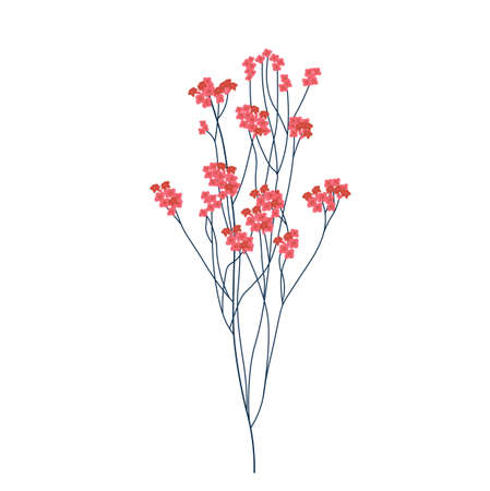 Gypsophila pink vector stock illustration. A branch of dry red flowers. Isolated on a white background.のイラスト素材