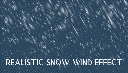 Realistic snow wind effect with rain. Snowfall overlay for photo and image editing. Frost texture background.のイラスト素材