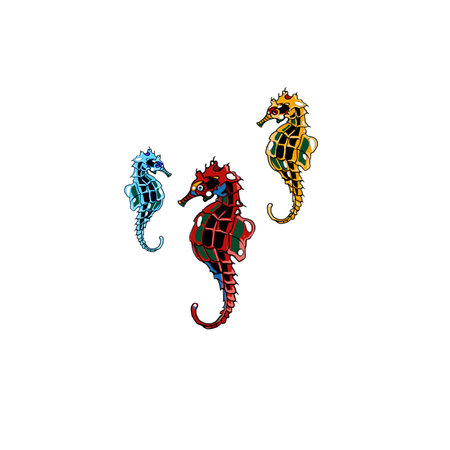 sea set, yellow and red, blue seahorses on a white backgroundの写真素材