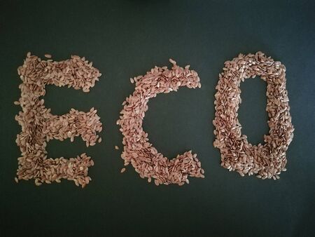 Seeds flax in dark background, top viewの写真素材