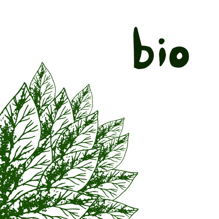 hand draw eco illustrationのイラスト素材