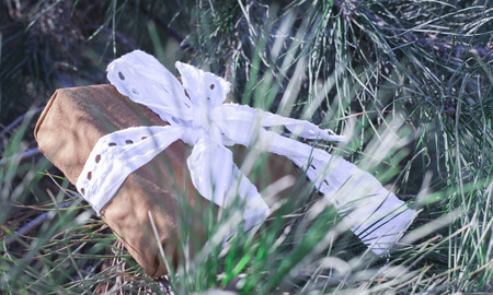 Christmas gift lying under a pine treeの写真素材