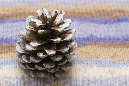 knitted striped sweater with fir coneの写真素材
