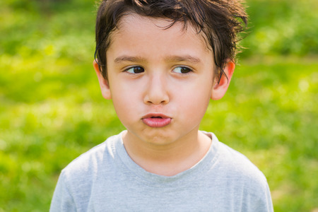 portrait of a boy of 4 years old on a natural background