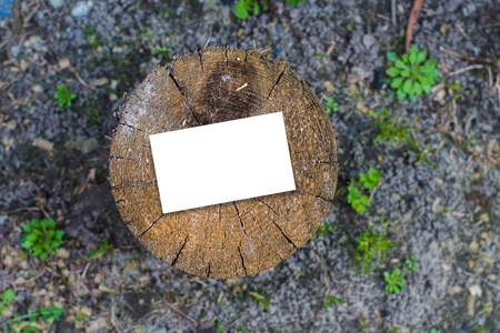 white card on stumpの写真素材