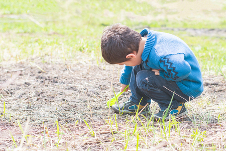 dark haired boy digging in the ground at the gardenの写真素材