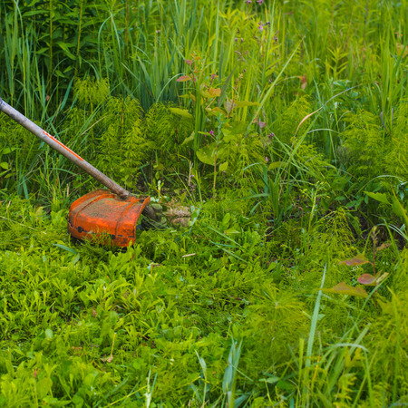 Mowing grass lawn mower close-up