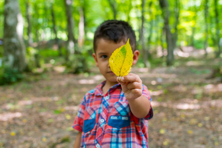 boy with yellow leaves in his hands in the forestの写真素材