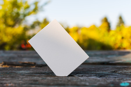 empty white business card outdoor. The template for the mock up