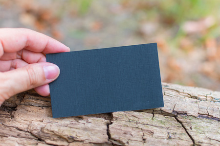 blank for visual presentation of design for business cardの写真素材