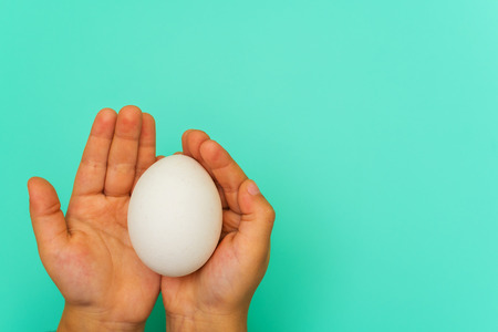 chicken white egg in a child's hand on a blue backgroundの写真素材