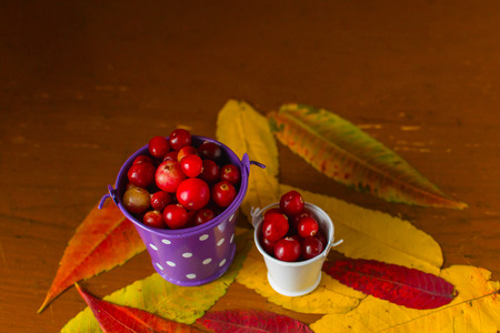 cranberry berries in decorative bucketsの写真素材