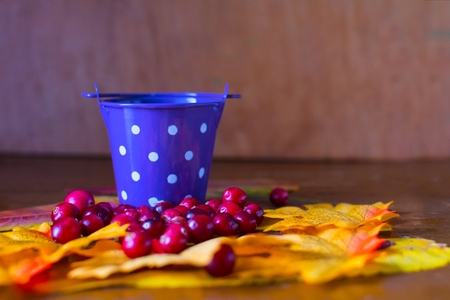scattered berries of a cranberry on a yellow leavesの写真素材