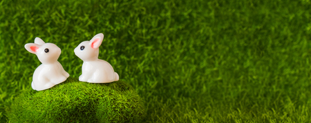 figures rabbits on the grass. Banner blankの写真素材