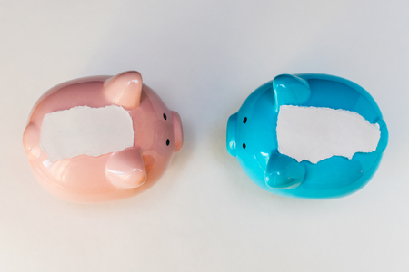 blue and pink piggy Bank with space for text on white backgroundの写真素材