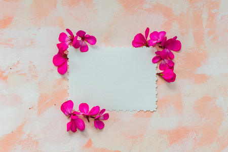greeting card with flower petalsの写真素材