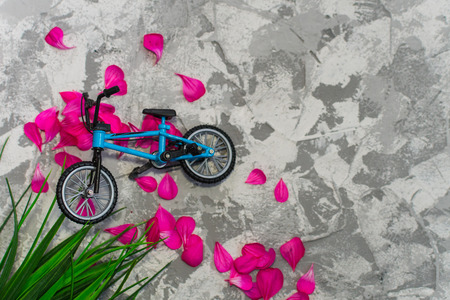 toy bike surrounded by grass and flower petals