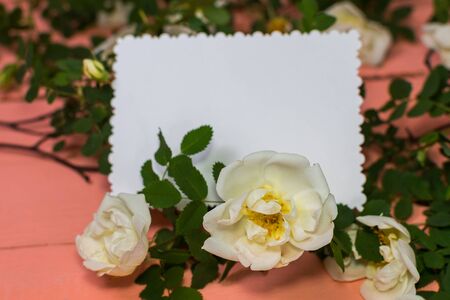 white empty card surrounded by roses on pink backgroundの写真素材