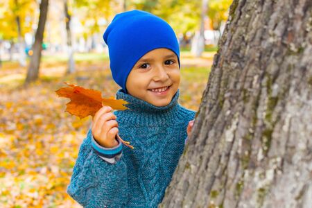 boy near a tree with a maple leafの写真素材