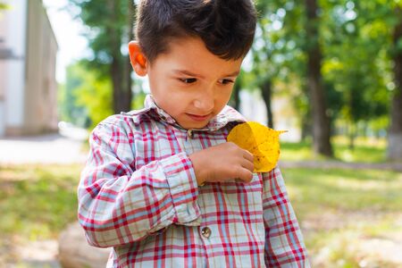 boy with autumn yellow leaf in the Parkの写真素材