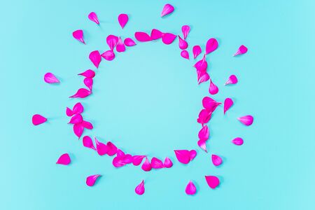pink petals laid out in the shape of the sun on a blue backgroundの写真素材