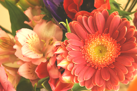 gently flowersの写真素材