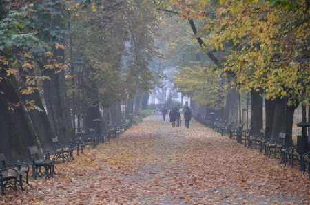 autumn city wallpaperのeditorial素材