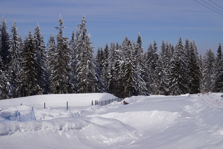 winter wallの写真素材